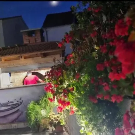 Peaceful With Style - Classic 特罗吉尔